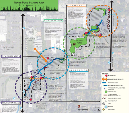 beaver_pond_site_analysis