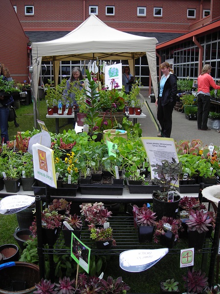 OVPlantSale2010