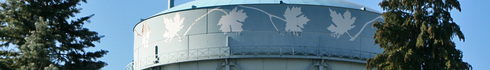 Maple Leaf Life header image 1